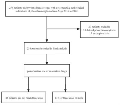 Exploration of factors affecting hemodynamic stability following pheochromocytoma resection - cohort study